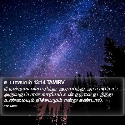 உபாகமம் 13:14 TAMIRV Bible Verse Image