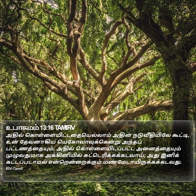 உபாகமம் 13:16 TAMIRV Bible Verse Image