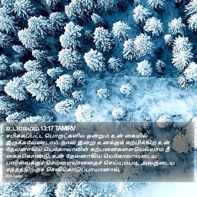 உபாகமம் 13:17 TAMIRV Bible Verse Image