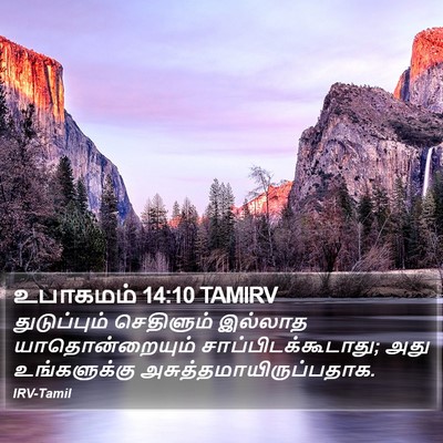 உபாகமம் 14:10 TAMIRV Bible Verse Image
