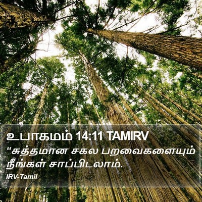 உபாகமம் 14:11 TAMIRV Bible Verse Image