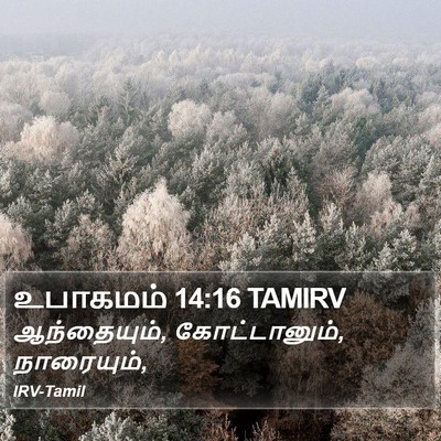 உபாகமம் 14:16 TAMIRV Bible Verse Image