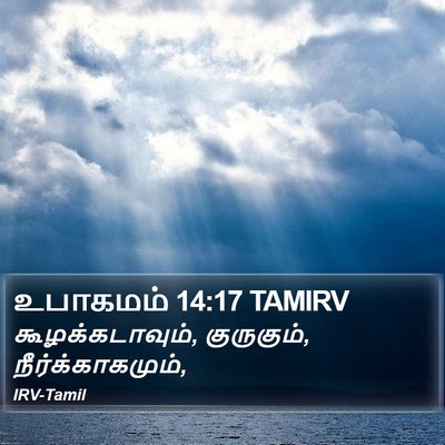 உபாகமம் 14:17 TAMIRV Bible Verse Image