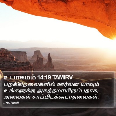 உபாகமம் 14:19 TAMIRV Bible Verse Image