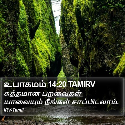 உபாகமம் 14:20 TAMIRV Bible Verse Image