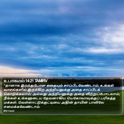 உபாகமம் 14:21 TAMIRV Bible Verse Image