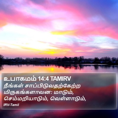 உபாகமம் 14:4 TAMIRV Bible Verse Image