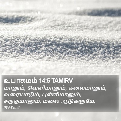 உபாகமம் 14:5 TAMIRV Bible Verse Image