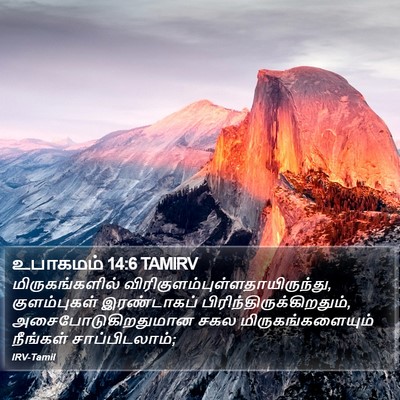 உபாகமம் 14:6 TAMIRV Bible Verse Image