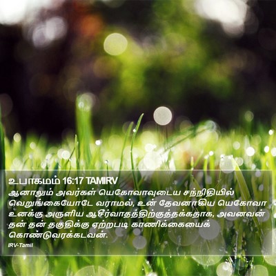 உபாகமம் 16:17 TAMIRV Bible Verse Image