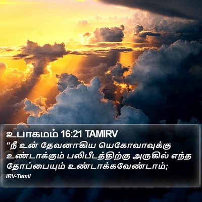 உபாகமம் 16:21 TAMIRV Bible Verse Image