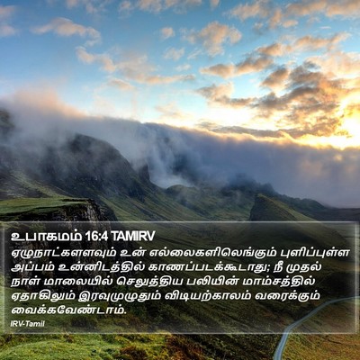 உபாகமம் 16:4 TAMIRV Bible Verse Image