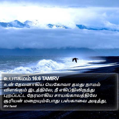 உபாகமம் 16:6 TAMIRV Bible Verse Image
