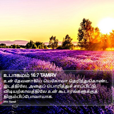உபாகமம் 16:7 TAMIRV Bible Verse Image