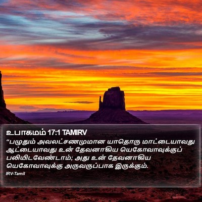 உபாகமம் 17:1 TAMIRV Bible Verse Image