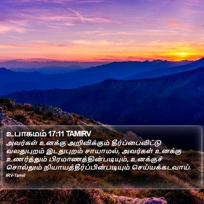 உபாகமம் 17:11 TAMIRV Bible Verse Image