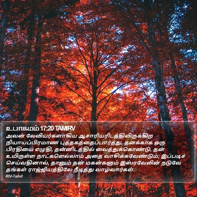 உபாகமம் 17:20 TAMIRV Bible Verse Image