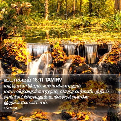 உபாகமம் 18:11 TAMIRV Bible Verse Image
