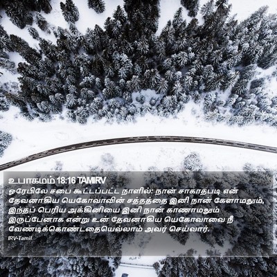 உபாகமம் 18:16 TAMIRV Bible Verse Image