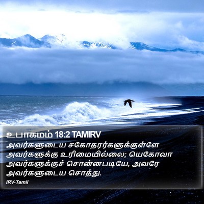 உபாகமம் 18:2 TAMIRV Bible Verse Image