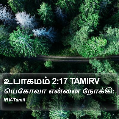 உபாகமம் 2:17 TAMIRV Bible Verse Image