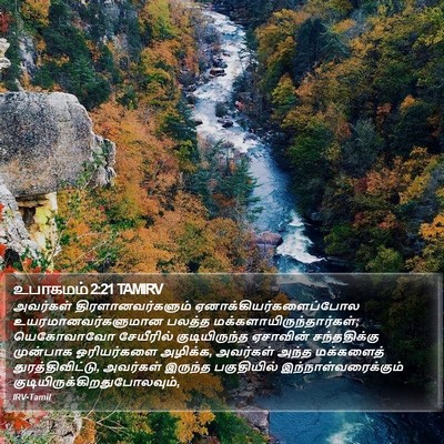 உபாகமம் 2:21 TAMIRV Bible Verse Image