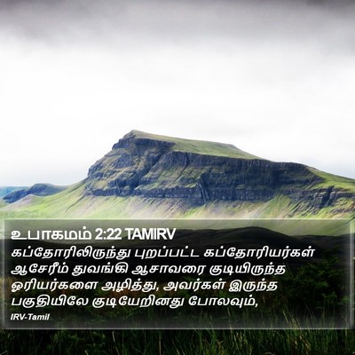 உபாகமம் 2:22 TAMIRV Bible Verse Image