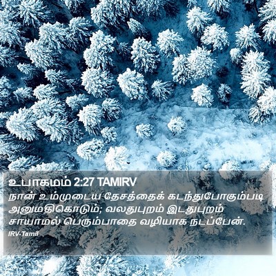 உபாகமம் 2:27 TAMIRV Bible Verse Image
