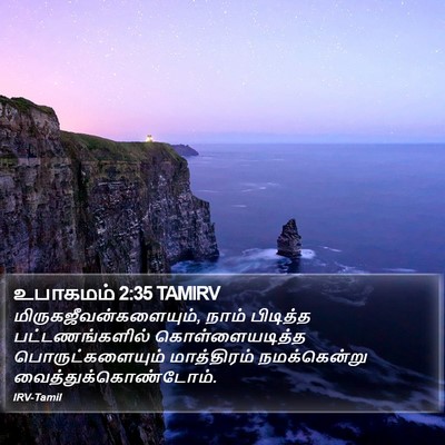 உபாகமம் 2:35 TAMIRV Bible Verse Image