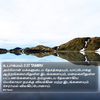 உபாகமம் 2:37 TAMIRV Bible Verse Image