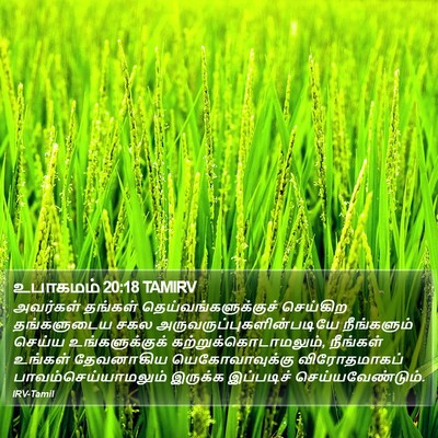 உபாகமம் 20:18 TAMIRV Bible Verse Image