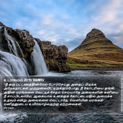 உபாகமம் 20:19 TAMIRV Bible Verse Image
