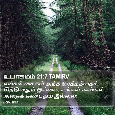 உபாகமம் 21:7 TAMIRV Bible Verse Image