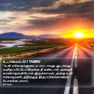 உபாகமம் 22:1 TAMIRV Bible Verse Image
