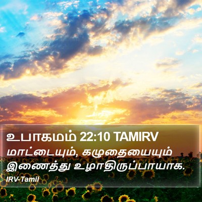 உபாகமம் 22:10 TAMIRV Bible Verse Image