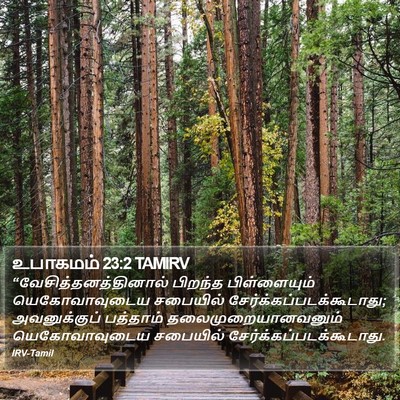 உபாகமம் 23:2 TAMIRV Bible Verse Image