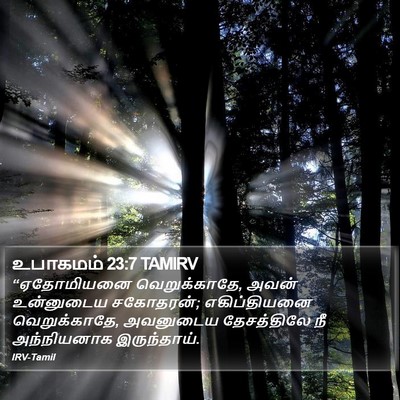 உபாகமம் 23:7 TAMIRV Bible Verse Image