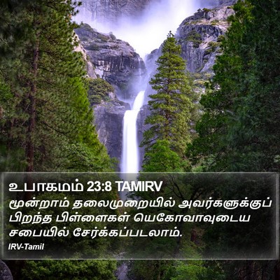 உபாகமம் 23:8 TAMIRV Bible Verse Image