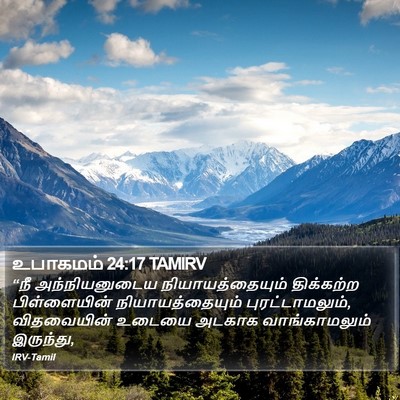 உபாகமம் 24:17 TAMIRV Bible Verse Image