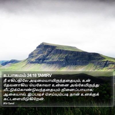 உபாகமம் 24:18 TAMIRV Bible Verse Image