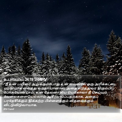 உபாகமம் 24:19 TAMIRV Bible Verse Image