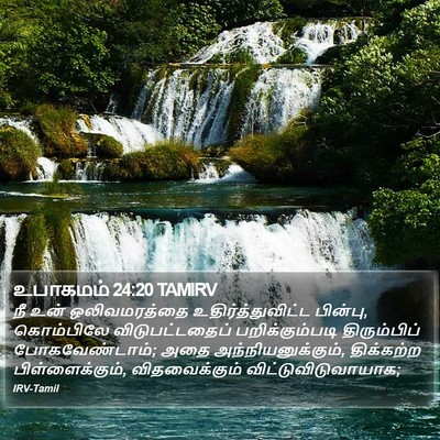 உபாகமம் 24:20 TAMIRV Bible Verse Image