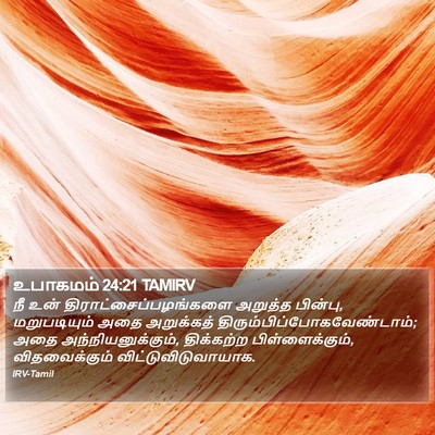 உபாகமம் 24:21 TAMIRV Bible Verse Image