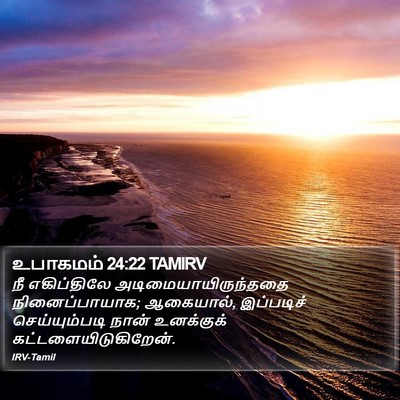 உபாகமம் 24:22 TAMIRV Bible Verse Image