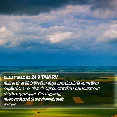 உபாகமம் 24:9 TAMIRV Bible Verse Image
