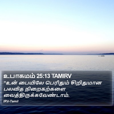 உபாகமம் 25:13 TAMIRV Bible Verse Image