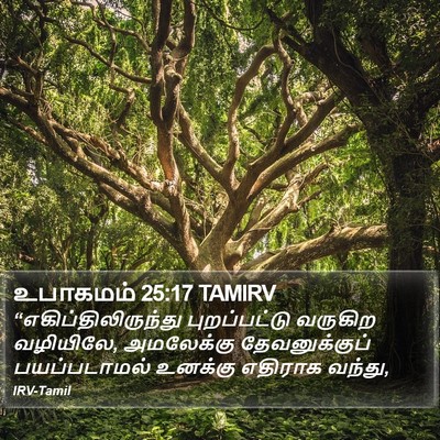 உபாகமம் 25:17 TAMIRV Bible Verse Image