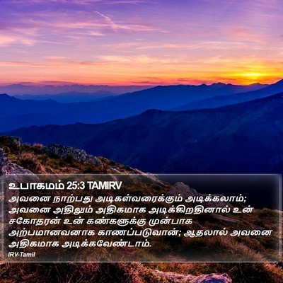 உபாகமம் 25:3 TAMIRV Bible Verse Image