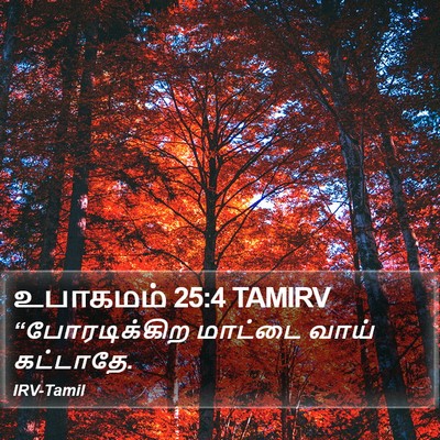 உபாகமம் 25:4 TAMIRV Bible Verse Image