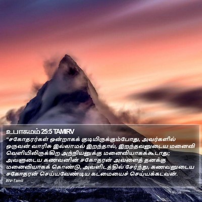 உபாகமம் 25:5 TAMIRV Bible Verse Image